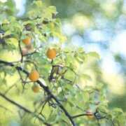 ヒメ日記 2025/06/16 18:28 投稿 恵梨(えり) グランドオペラ福岡