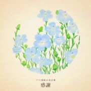 ヒメ日記 2025/06/16 19:21 投稿 恵梨(えり) グランドオペラ福岡