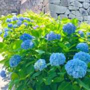 ヒメ日記 2025/06/17 07:42 投稿 恵梨(えり) グランドオペラ福岡