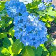 ヒメ日記 2025/06/17 08:21 投稿 恵梨(えり) グランドオペラ福岡