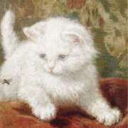 ヒメ日記 2025/06/19 07:09 投稿 恵梨(えり) グランドオペラ福岡