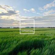 ヒメ日記 2025/06/22 22:41 投稿 恵梨(えり) グランドオペラ福岡