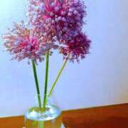 ヒメ日記 2025/06/25 21:21 投稿 恵梨(えり) グランドオペラ福岡