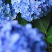 ヒメ日記 2025/06/26 09:08 投稿 恵梨(えり) グランドオペラ福岡