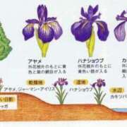 ヒメ日記 2025/06/27 14:03 投稿 恵梨(えり) グランドオペラ福岡