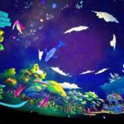 ヒメ日記 2025/07/01 23:50 投稿 恵梨(えり) グランドオペラ福岡