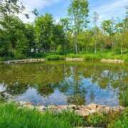 ヒメ日記 2025/07/02 11:29 投稿 恵梨(えり) グランドオペラ福岡