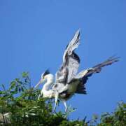 ヒメ日記 2025/07/08 08:11 投稿 恵梨(えり) グランドオペラ福岡