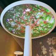 ヒメ日記 2025/07/08 16:05 投稿 恵梨(えり) グランドオペラ福岡