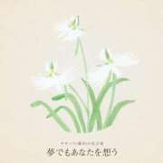 ヒメ日記 2025/07/09 21:56 投稿 恵梨(えり) グランドオペラ福岡