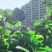 ヒメ日記 2025/07/12 20:45 投稿 恵梨(えり) グランドオペラ福岡