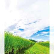 ヒメ日記 2025/07/12 21:01 投稿 恵梨(えり) グランドオペラ福岡