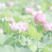 ヒメ日記 2025/07/14 20:21 投稿 恵梨(えり) グランドオペラ福岡