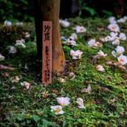 ヒメ日記 2025/07/15 20:56 投稿 恵梨(えり) グランドオペラ福岡