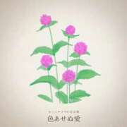 ヒメ日記 2025/08/27 22:46 投稿 恵梨(えり) グランドオペラ福岡