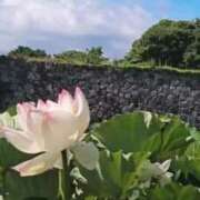 ヒメ日記 2025/08/29 08:01 投稿 恵梨(えり) グランドオペラ福岡