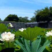 ヒメ日記 2025/09/03 07:51 投稿 恵梨(えり) グランドオペラ福岡