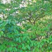 ヒメ日記 2025/09/04 22:51 投稿 恵梨(えり) グランドオペラ福岡