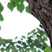 ヒメ日記 2025/09/04 23:11 投稿 恵梨(えり) グランドオペラ福岡