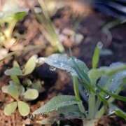 ヒメ日記 2025/09/11 08:21 投稿 恵梨(えり) グランドオペラ福岡