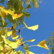 ヒメ日記 2025/09/24 07:51 投稿 恵梨(えり) グランドオペラ福岡