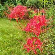 ヒメ日記 2025/09/25 08:41 投稿 恵梨(えり) グランドオペラ福岡