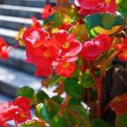 ヒメ日記 2025/10/08 23:21 投稿 恵梨(えり) グランドオペラ福岡