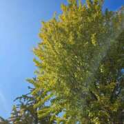 ヒメ日記 2025/10/09 22:41 投稿 恵梨(えり) グランドオペラ福岡