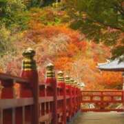 ヒメ日記 2025/11/13 08:47 投稿 恵梨(えり) グランドオペラ福岡