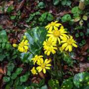 ヒメ日記 2025/11/17 14:11 投稿 恵梨(えり) グランドオペラ福岡