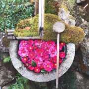 ヒメ日記 2025/11/19 08:01 投稿 恵梨(えり) グランドオペラ福岡