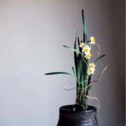 ヒメ日記 2025/11/19 10:51 投稿 恵梨(えり) グランドオペラ福岡