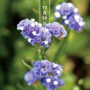 ヒメ日記 2025/11/20 00:01 投稿 恵梨(えり) グランドオペラ福岡