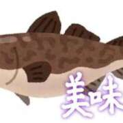 ヒメ日記 2025/11/20 19:31 投稿 恵梨(えり) グランドオペラ福岡