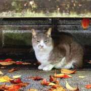 ヒメ日記 2025/11/25 09:21 投稿 恵梨(えり) グランドオペラ福岡