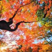 ヒメ日記 2025/12/01 23:11 投稿 恵梨(えり) グランドオペラ福岡