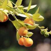 ヒメ日記 2025/12/03 21:41 投稿 恵梨(えり) グランドオペラ福岡