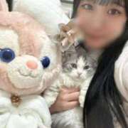 ヒメ日記 2024/12/19 17:44 投稿 あんず チューリップ福井本館