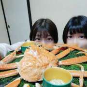 ヒメ日記 2025/02/03 20:20 投稿 あんず チューリップ福井本館