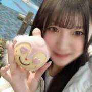 ヒメ日記 2025/05/20 14:16 投稿 あんず チューリップ福井本館