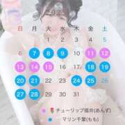 ヒメ日記 2025/06/24 16:14 投稿 あんず チューリップ福井本館