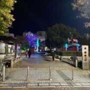 ヒメ日記 2024/12/10 20:40 投稿 さちる ロイヤル土佐