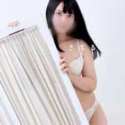 さちる [お題]from:パパプリンさん ロイヤル土佐