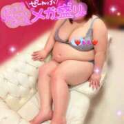 ヒメ日記 2025/03/13 08:30 投稿 もえ 豊満熟女