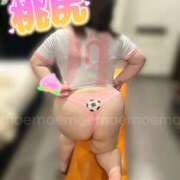 ヒメ日記 2025/07/15 18:00 投稿 もえ 豊満熟女