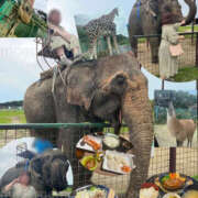 ヒメ日記 2025/10/18 20:48 投稿 もえ 豊満熟女