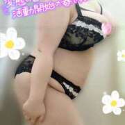 ヒメ日記 2026/03/28 11:34 投稿 もえ 豊満熟女