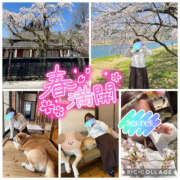 ヒメ日記 2026/04/19 08:22 投稿 もえ 豊満熟女