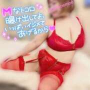 ヒメ日記 2026/08/16 11:58 投稿 もえ 豊満熟女