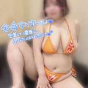 ヒメ日記 2026/09/12 11:38 投稿 もえ 豊満熟女